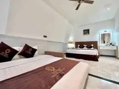 Tulip City View - 34