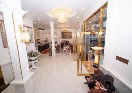 Tulip City View - 18