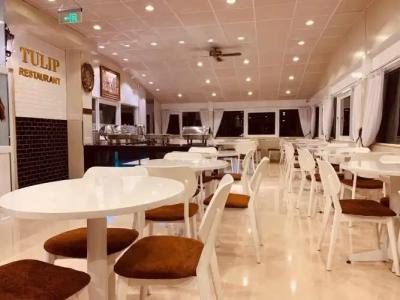 Tulip City View - 15