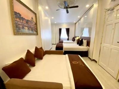 Tulip City View - 62