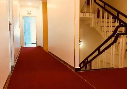 Tulip City View - 12