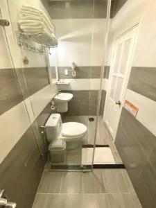 Tulip City View - 43