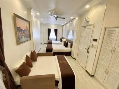 Tulip City View - 60