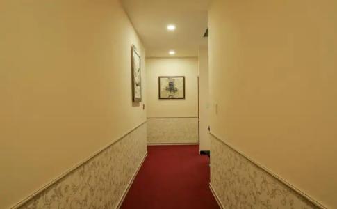 Tulip City View - 13