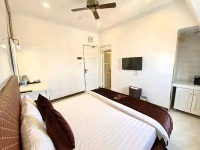 Tulip City View - 65