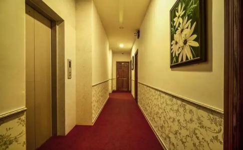 Tulip City View - 14