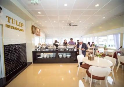 Tulip City View - 21