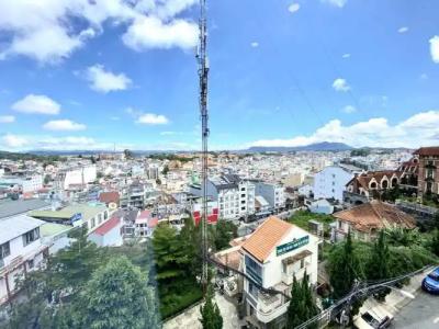 Tulip City View - 104