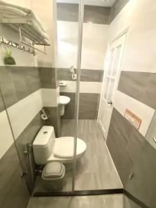 Tulip City View - 70