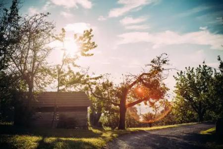 Landgasthof Keller - 3