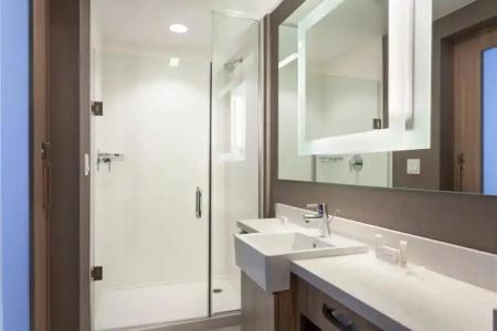 SpringHill Suites by Marriott Orlando at Millenia - 25