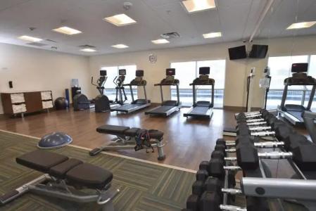 Holiday Inn Express & Suites - Orlando - Lake Nona Area, An Ihg - 18