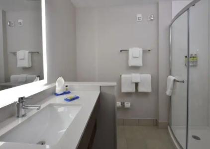 Holiday Inn Express & Suites - Orlando - Lake Nona Area, An Ihg - 38