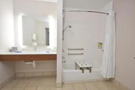 Holiday Inn Express & Suites - Orlando - Lake Nona Area, An Ihg - 10