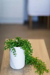 North Coast Seaside Suites - 49