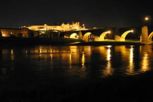 Hotel «Du Roi & Spa By Sowell Collection», Каркассон