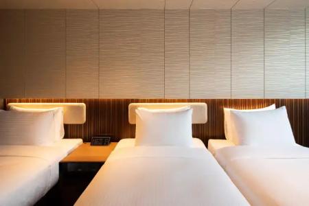 Sotetsu Fresa Inn Seoul Myeong-dong - 35