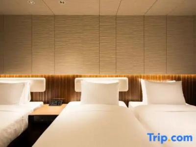 Sotetsu Fresa Inn Seoul Myeong-dong - 69