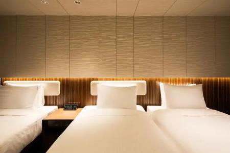 Sotetsu Fresa Inn Seoul Myeong-dong - 1