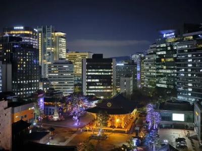 Nine Tree Premier Insadong - 10