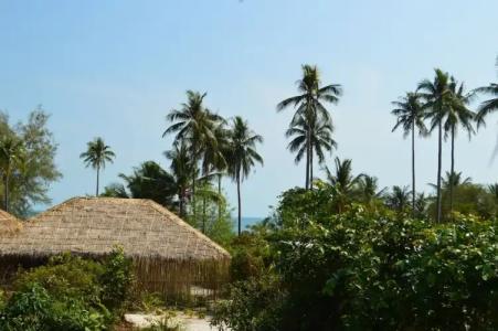 Tamu Koh Rong - 51