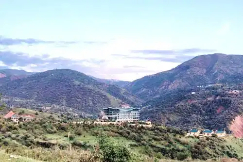 Tibet Mounts Flora - 20