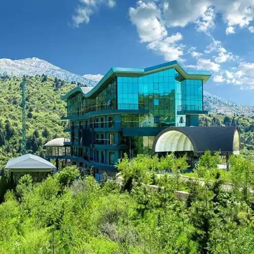Tibet Mounts Flora - 1