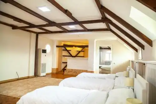 Ridon Lux - 30