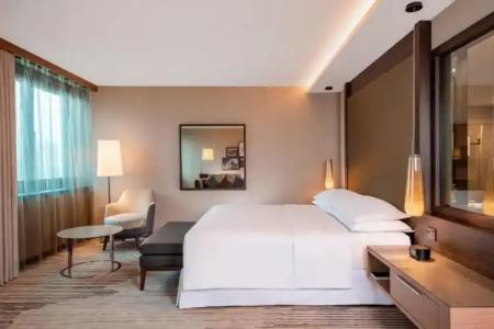 Sheraton Grand Tbilisi Metechi Palace - 118