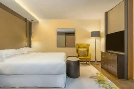 Sheraton Grand Tbilisi Metechi Palace - 129