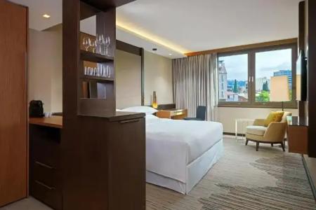 Sheraton Grand Tbilisi Metechi Palace - 101