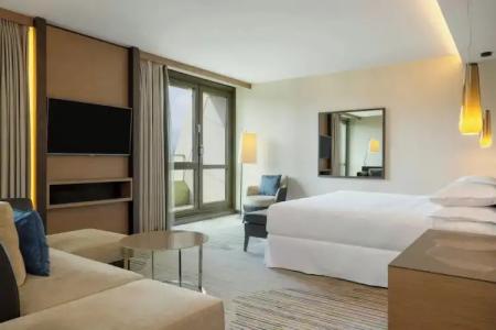 Sheraton Grand Tbilisi Metechi Palace - 114