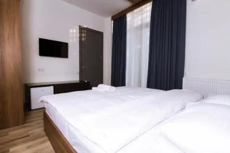 Victoria Inn Tbilisi - 53