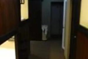 Hotel «Bloom», Батуми