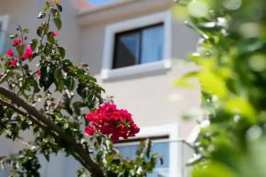 Eva Mare Hotel & Suites - Adults only, Агия-Пелагия