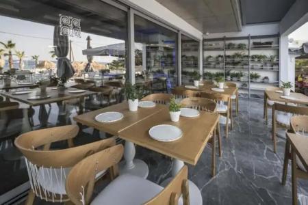 Cretan Blue Beach - 15