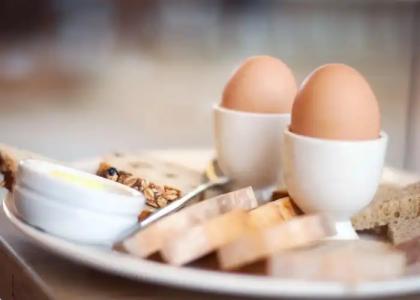 ibis Regensburg Zentrum - 10