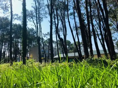 LizAna Shekvetili - 8