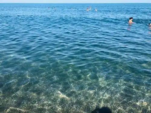 LizAna Shekvetili - 9