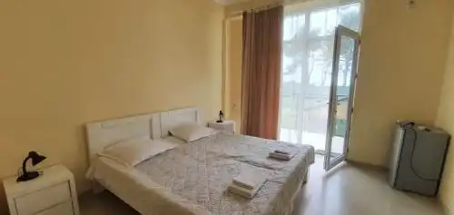 LizAna Shekvetili - 2