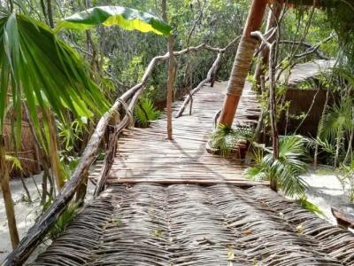 Ikal Tulum - 33