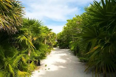 Ikal Tulum - 34