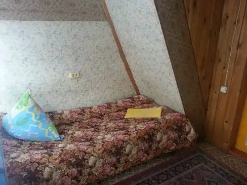 Сосновый бор - 123