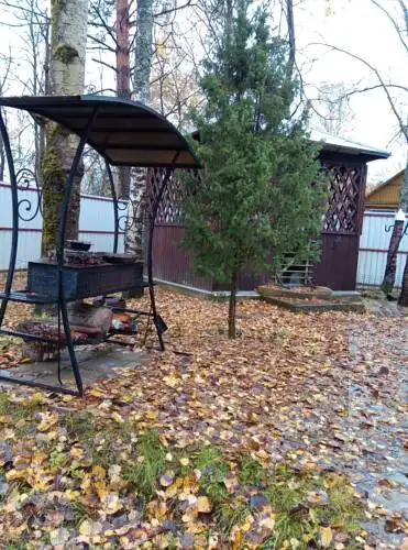 Рысь - 0