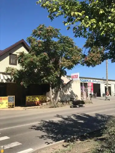 Белая лошадь - 14