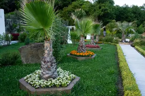 Villa Zetta - 63