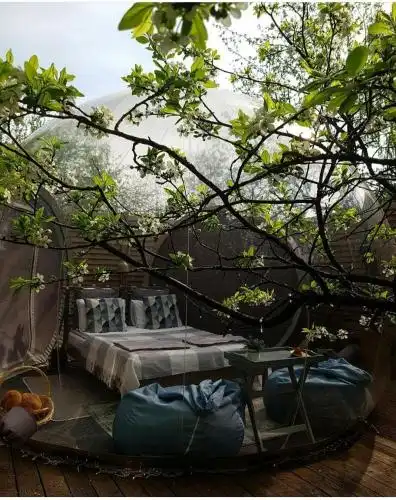 Bubble Dacha - 38