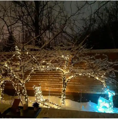 Bubble Dacha - 29