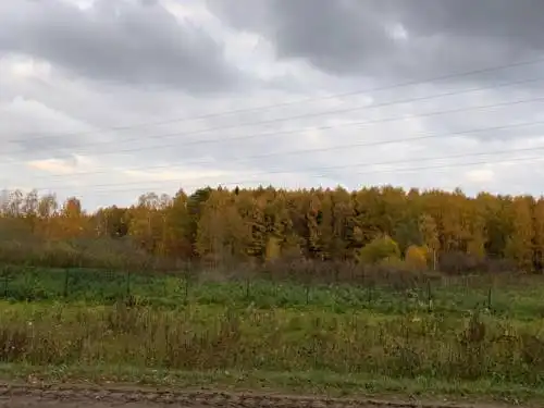 Розовый - 104