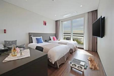 YeongJongdo Air Sky - 2